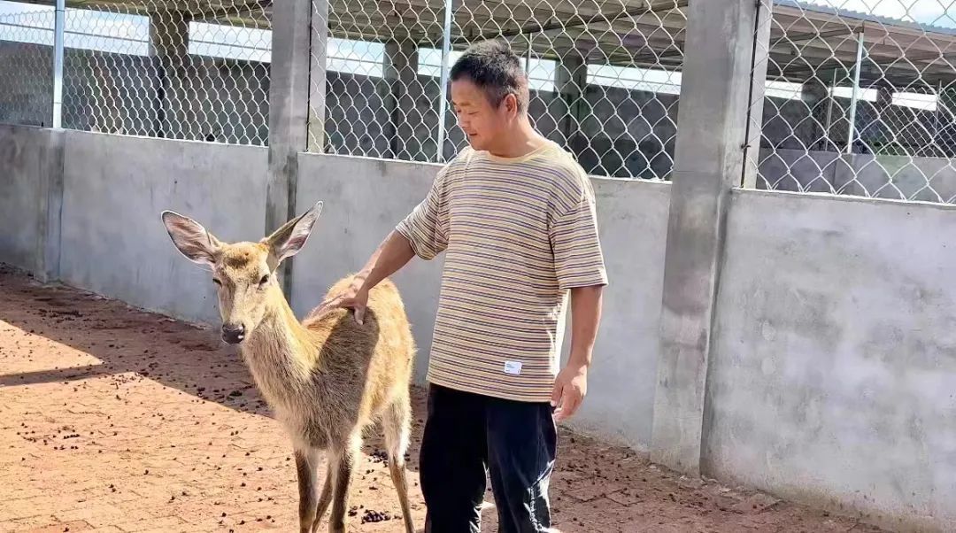 澳门新葡亰手机版